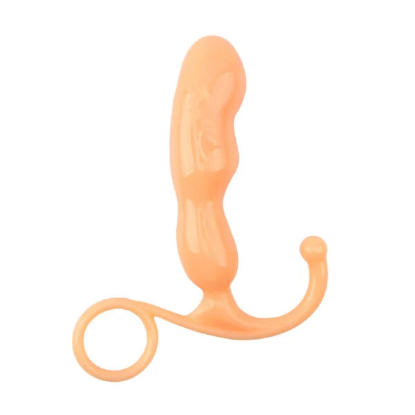 Plug Anal para Principiantes Bloom