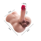 Torso Masculino Realista – Dildo y Ano